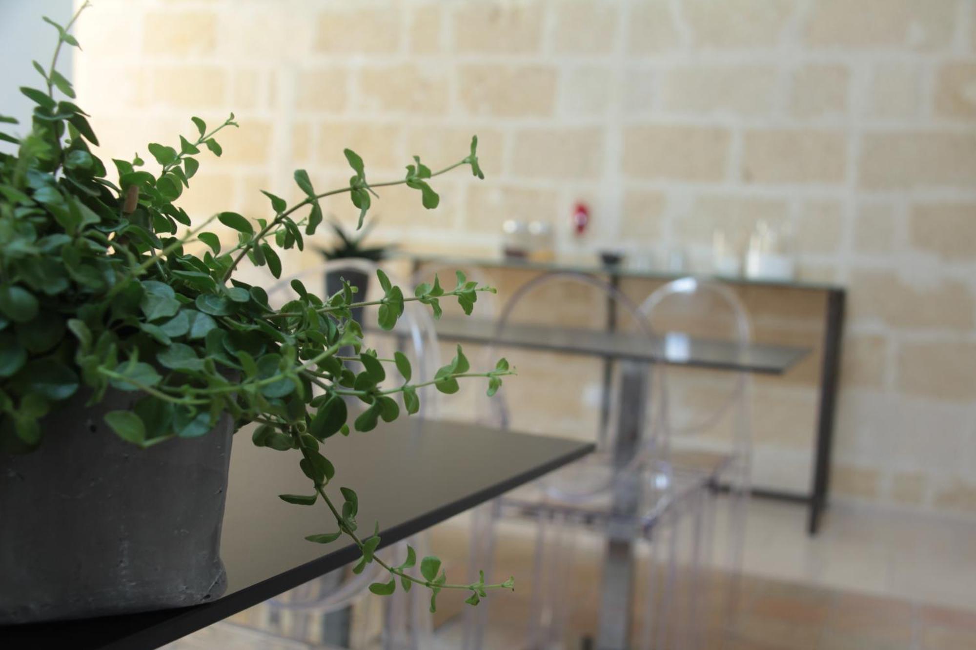 Lamia Room Rentals Matera Exterior photo